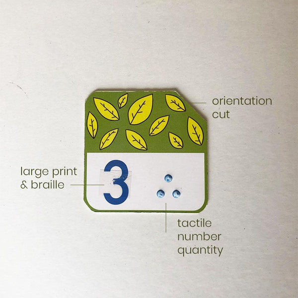 My Counting Cards - Tactile, Large-Print, Braille Number Cards for Children With Learning Disabilities and/ or Vision Impairment