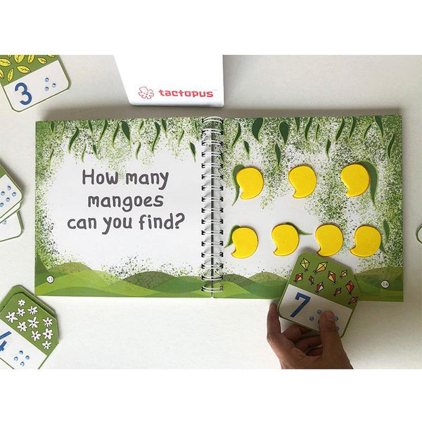 Counting Book and Cards for Children With Learning Disabilities and/ or Vision Impairment