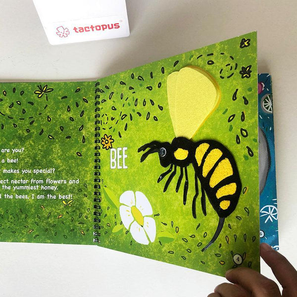What Makes You Special? A Multi-Sensory Book for Children With Learning Disabilities and/ or Vision Impairment