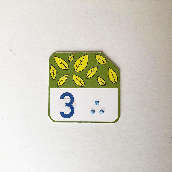 My Counting Cards - Tactile, Large-Print, Braille Number Cards for Children With Learning Disabilities and/ or Vision Impairment