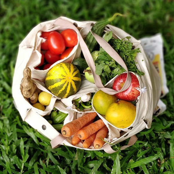 Veggie To Fridgie Bag (Silver Fir)