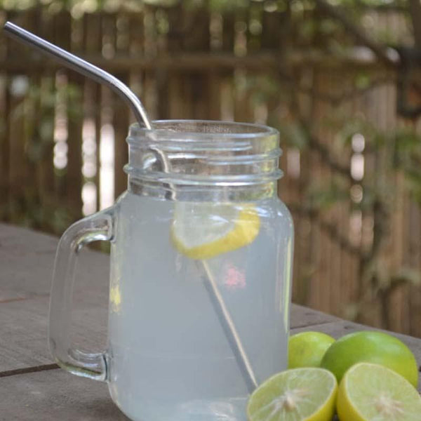 Reusable Steel Straw Angled