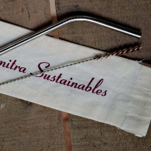 Reusable Steel Straw Angled