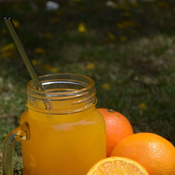 Reusable Steel Straw Straight