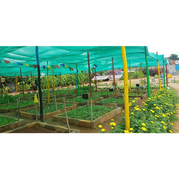 3 Aug 2019 : A day at Village Story  Farmhouse, Yelahanka, Bengaluru (1 Day Experience Package)