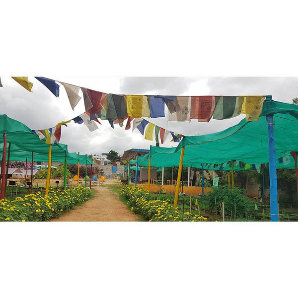 3 Aug 2019 : A day at Village Story  Farmhouse, Yelahanka, Bengaluru (1 Day Experience Package)